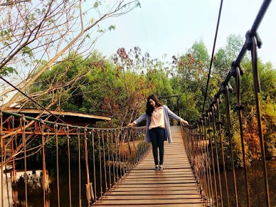 Indahnya Hutan Mangrove PIK + Ketahui Juga Lokasi, Harga Tiket Masuk, Rute, dan Penginapan Hutan Mangrove PIK Jembatan