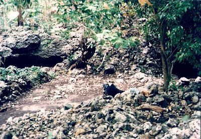 Tempat di Pemalang Yang Bagus