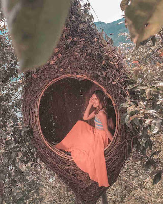 Foto Wahana Sarang Burung Wisata Wanagiri Hidden Hills Bedugul