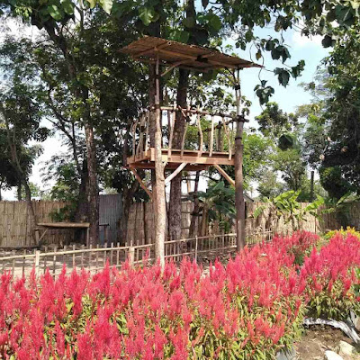 Taman Bunga Bloemencorso