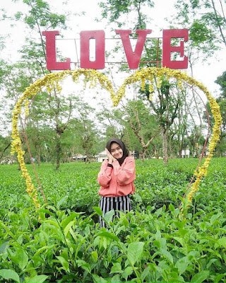 Tempat Wisata di Pemalang