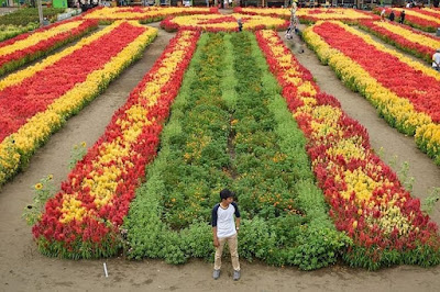 Taman Bunga Tali Asmoro Cilacap Foto Keren Taman Bunga Tali Asmoro Cilacap