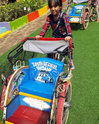 Wahana Permaian Taman Herbal Insani Sawangan