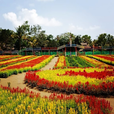 Taman Bunga Tali Asmoro Pagubugan Spot Foto Taman Bunga Tali Asmoro Pagubugan