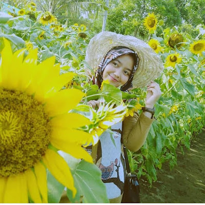 Taman Bunga Tali Asmoro Pagubugan Foto Taman Bunga Tali Asmoro Pagubugan