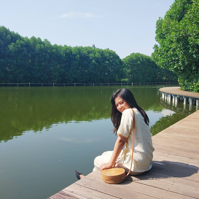 Indahnya Hutan Mangrove PIK + Ketahui Juga Lokasi, Harga Tiket Masuk, Rute, dan Penginapan Hutan Mangrove PIK Dermaga