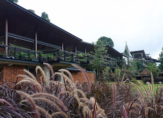 cafe bawah langit pancawati bogor cafe bawah langit pancawati bogor