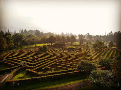 Taman Bunga Nusantara Cianjur