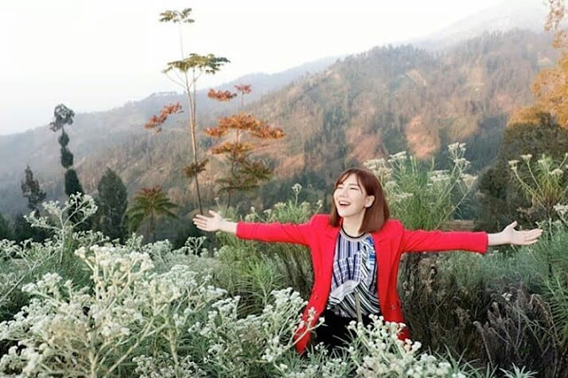 wisata edelweis wonokriti pasuruan