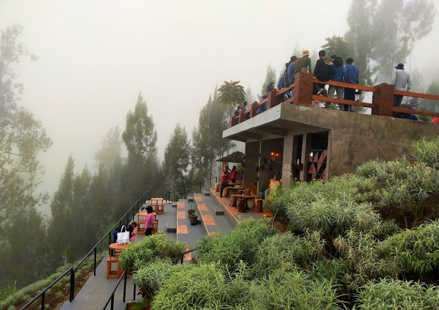 wisata edelweis wonokriti pasuruan