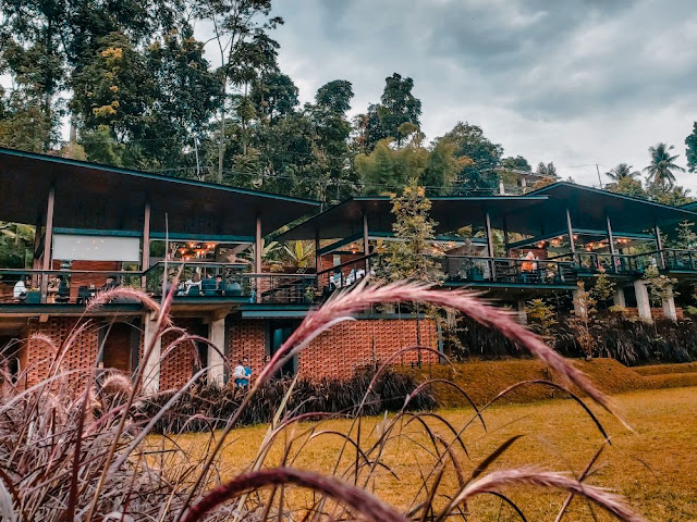 cafe bawah langit bogor cafe bawah langit bogor