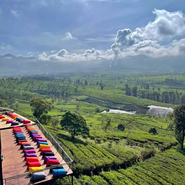 cafe and resto nimo highland