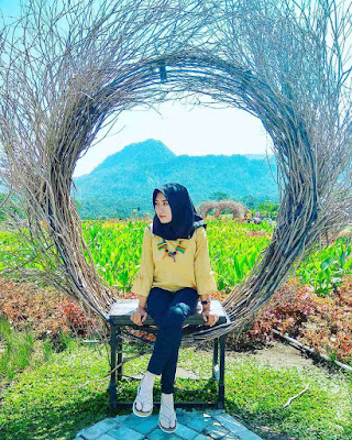 Small Garden Purwokerto