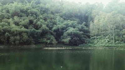 Tempat Bagus di Pemalang