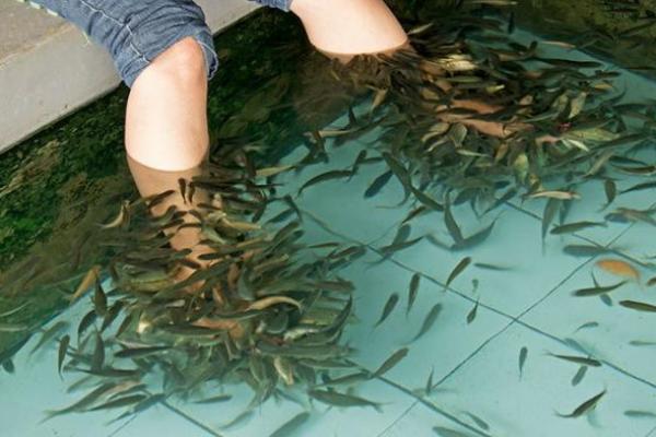 Wisata Korea Fantasy Kediri