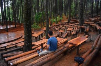 Wisata Hutan Pinus Jogja
