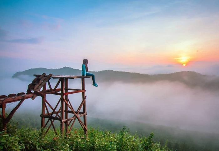 Tempat wisata hutan pinus dijogja