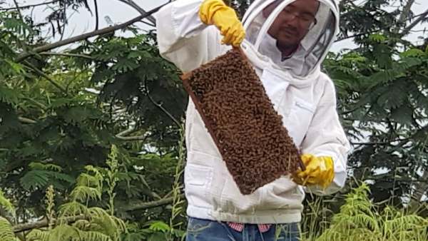 Kebun Madu Efi Kabanjahe