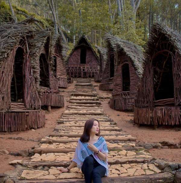 Wisata Hutan Pinus Jogja