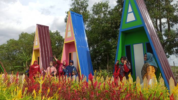 taman bunga celosia palembang