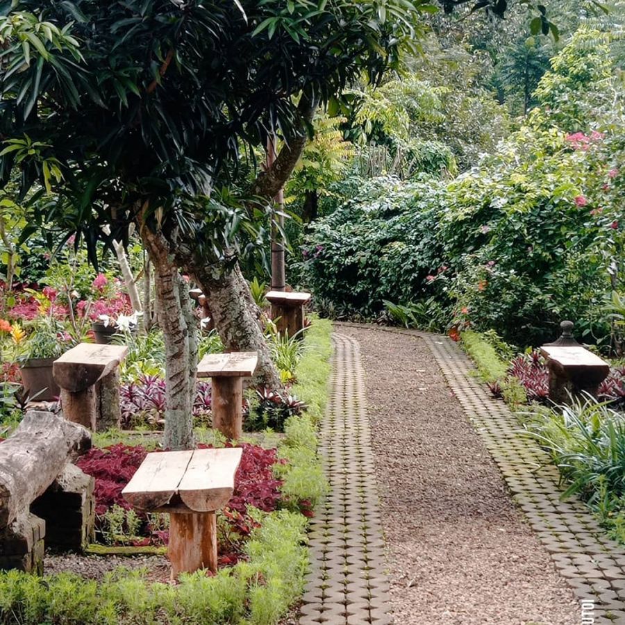 elder wand cafe bandung