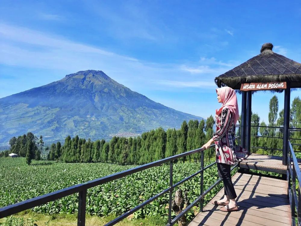 posong camping ground